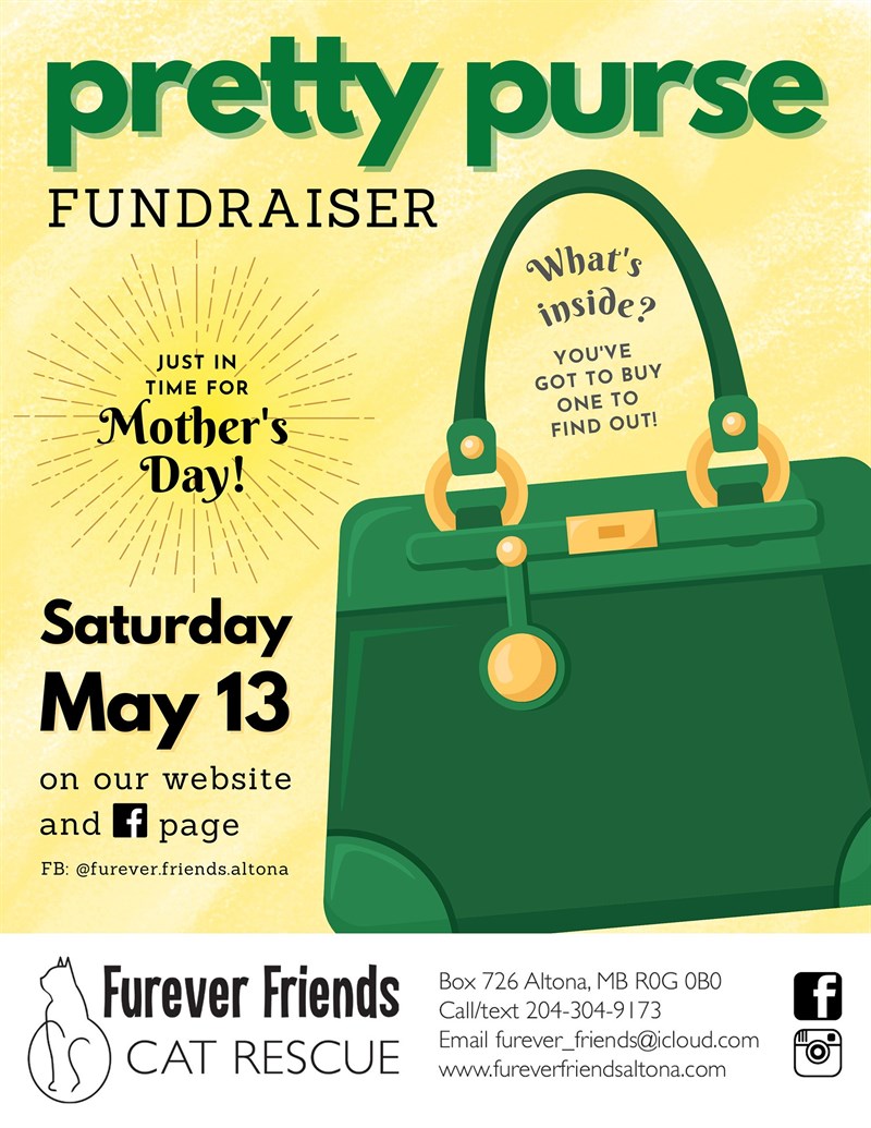 Pretty Purse Fundraiser