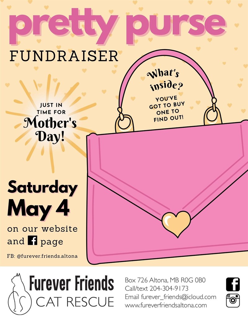 Pretty Purse Fundraiser