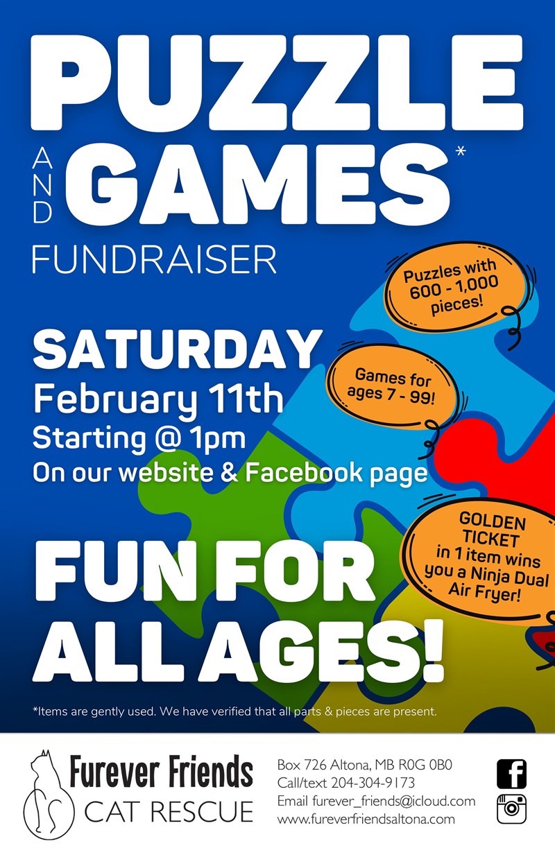 Puzzle & Games Fundraiser